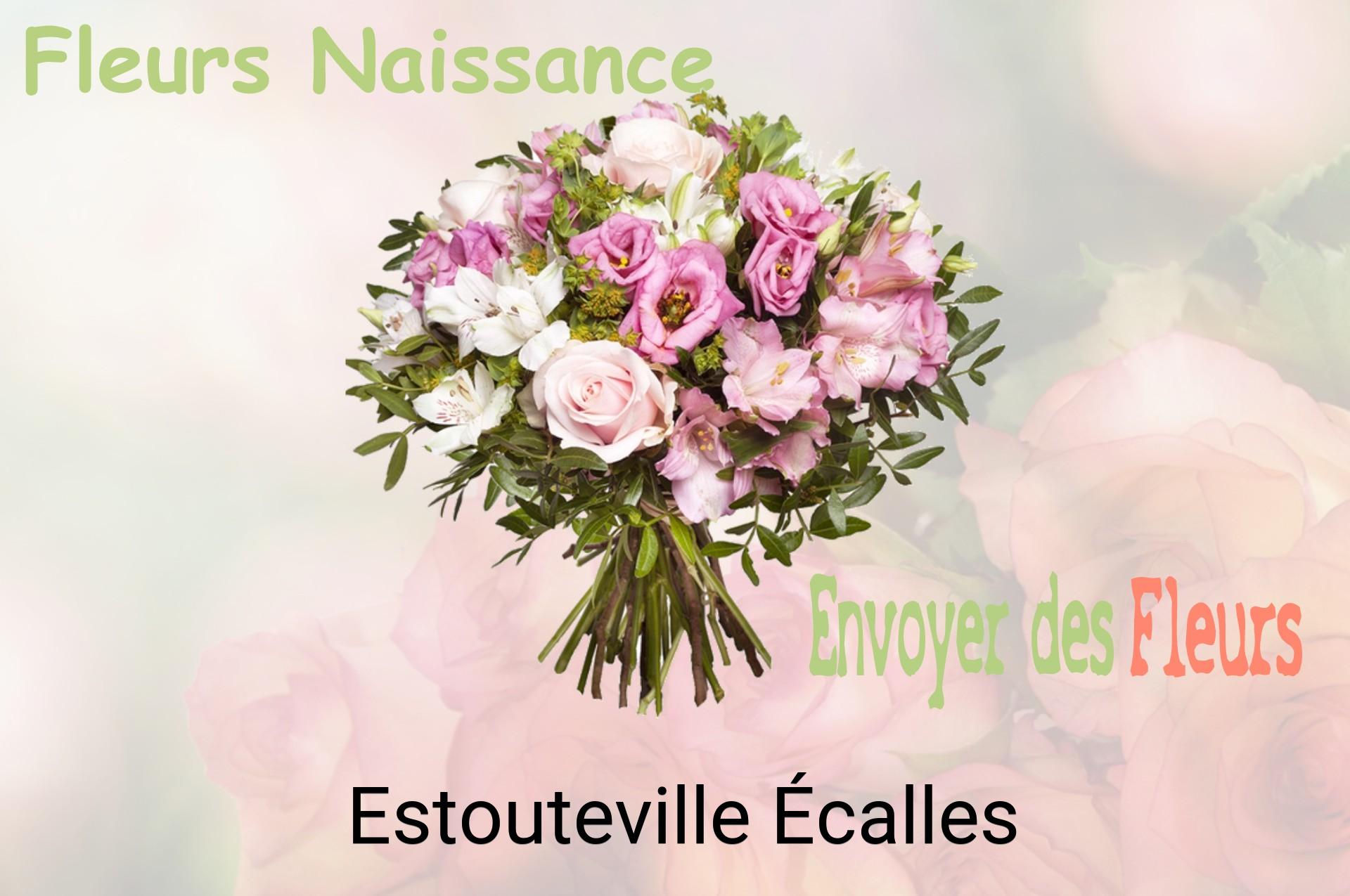 Bouquet de fleurs de naissance livré à Estouteville-Écalles